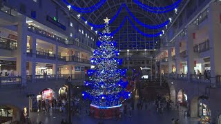 札幌市で巨大ツリー点灯 一足早くクリスマスムードに