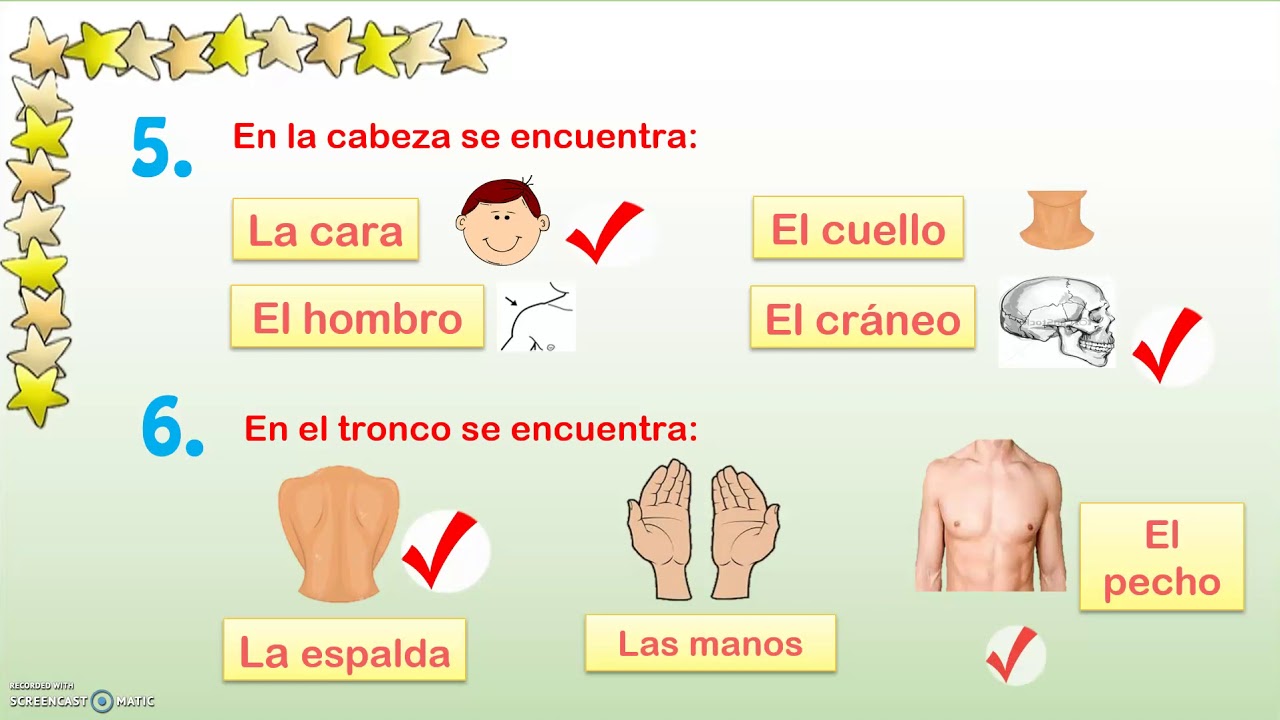 Refuerzo: El cuerpo humano y diferencia entre niño o niña- Primer Grado