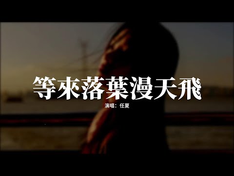 任夏 - 等來落葉漫天飛『又到一個思念的季節，可惜我們回不到從前，原來轉身以後就會是永遠，錯過的人再也不見。』【動態歌詞MV】