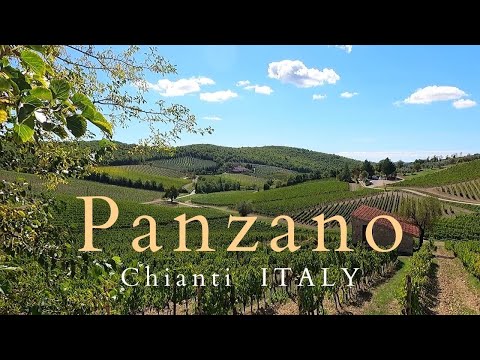 Fun Things to Do in Panzano in Chianti | Travel Guide (2024) | Best Places to Visit