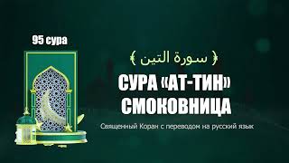 95 Сура «ат Тин» Смоковница