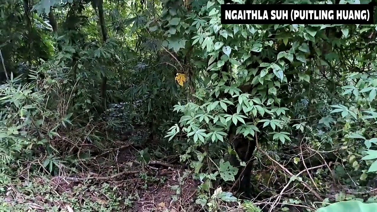 Ka pasalin zu a heh lutuk a, a thianten nuam an tih phah ta a nih kha/NGAITHLA SUH(PUITLING HUANG)