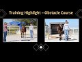 SOLD! MU Zippin Asset – 2023 AQHA Filly – Training Highlight