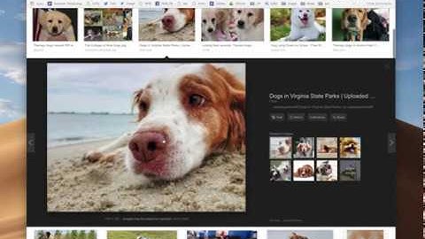 Advanced image search on Google