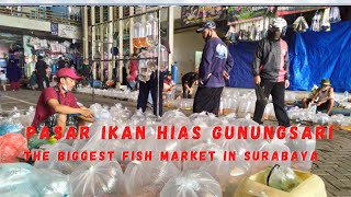 Cek harga Lou-Han Pasar Ikan Hias Gunung Sari - Surabaya- (the Biggest Fish Market At Surabaya)