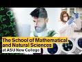 The school of mathematical and natural sciences at asu new college