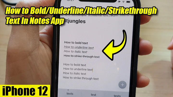 iPhone 12: How to Bold/Underline/Italic/Strikethrough Text In Notes App