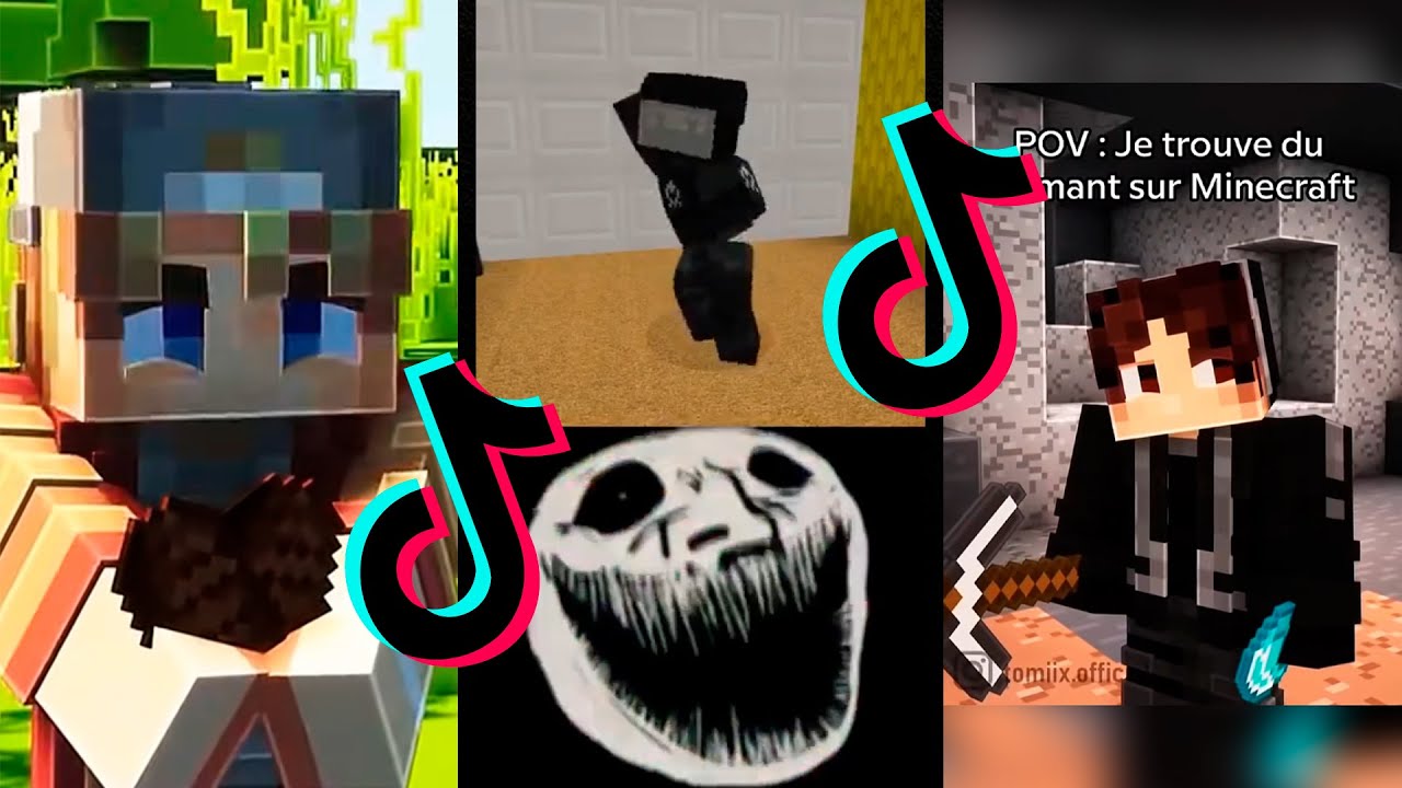 MINECRAFT MOMENT ! COLDEST TROLLFACE COMPILATION 🥶💯 #3