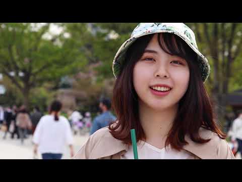 فيديو: لماذا تعتبر ساكورا رمزًا لليابان