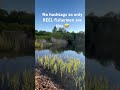 Fishing is PEAK