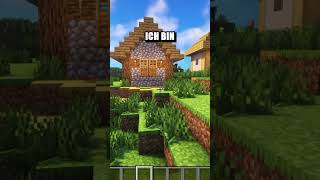 Finde den Fehler #minecraft #shorts