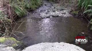 Thurston County Launches Fish-Page Barrier Removal Project