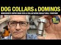 Dog Collars & Dominos [video #299]