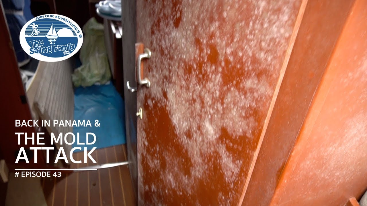 Back in Panama – Mold Attack (The Sailing Family) Ep.43