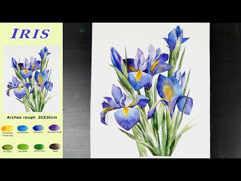 Basic Flower Watercolor - <strong>Iris</strong> (sketch &amp;amp; color mixing) NAMIL ART