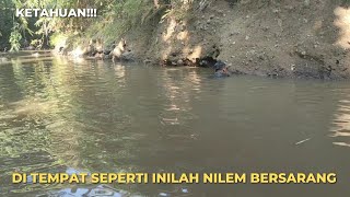 KETAHUAN!!!DI TEMPAT SEPERTI INILAH NILEM BERSARANG 