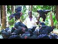 SPICY DARK BLACK CHICKEN GRAVY | Village Traditional Healthy Food | Village Grandpa Karuppasami