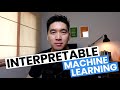 Interpretable Machine Learning Models