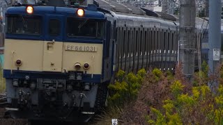 【E217系NN廃車回送】EF64-1031＋E217系ｸﾗY-1編成　立川駅発車