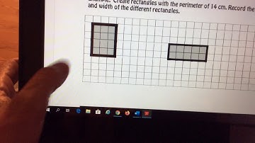 Same perimeter different areas