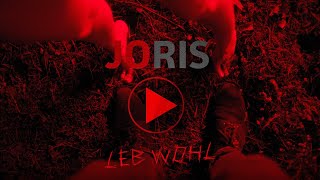 JORIS & Sebastian Fitzek -  Leb Wohl (Official Lyric Video)