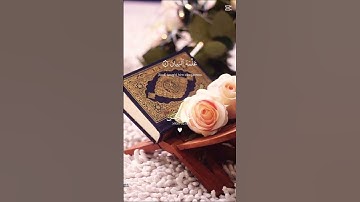 سورة الرحمن 🩵