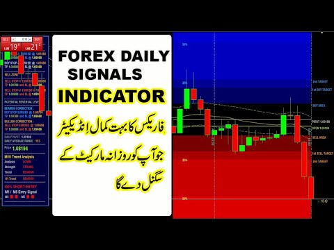 Forex Daily