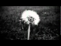 Sia - Don't Bring Me Down