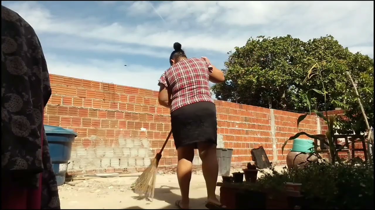 Dia de limpar os terreiros e joguei água nas plantas 🧹🌿