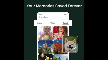 All-in-One Status Saver App | Download & share statuses easily