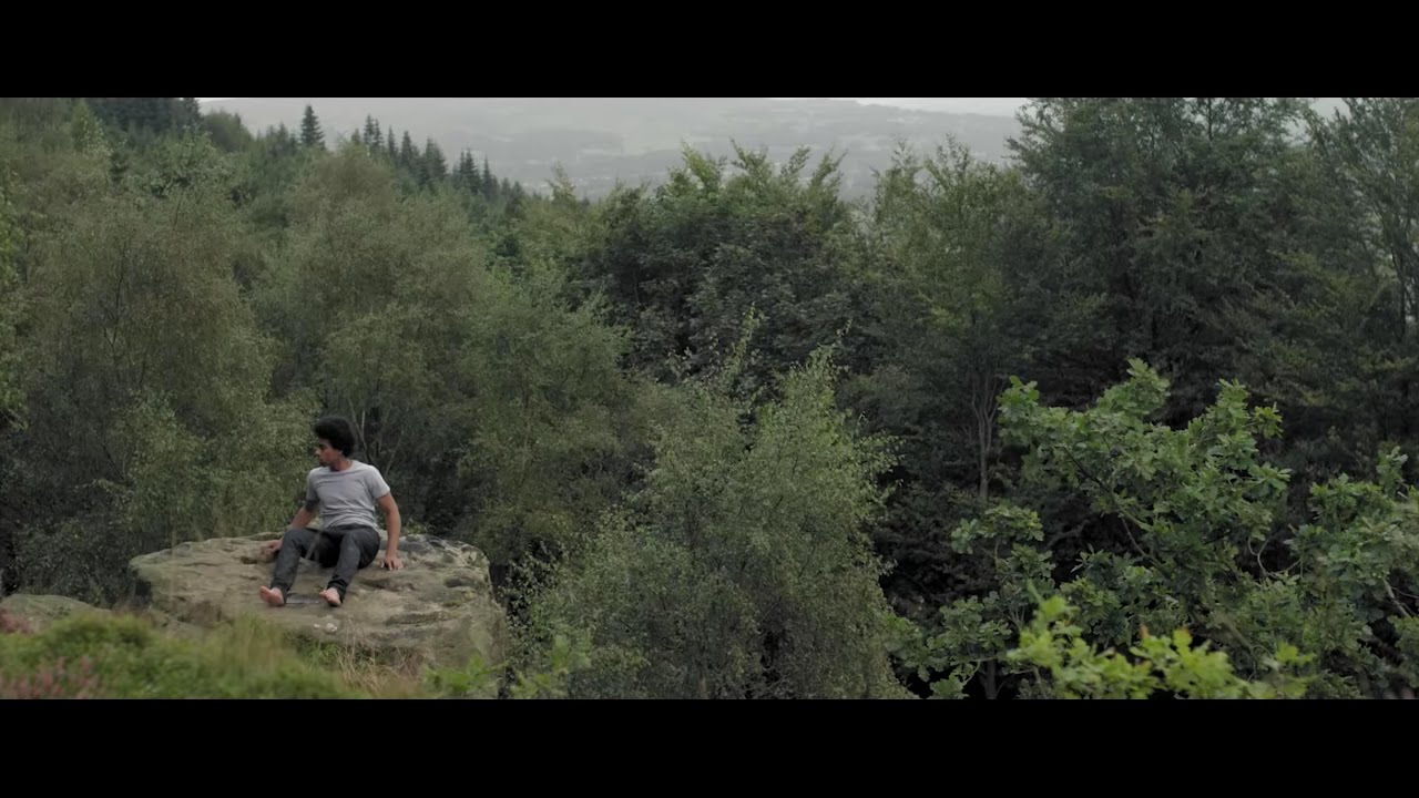 Denmarc Creary // Purple Trees [Music Video]