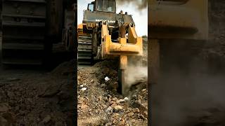 Spectacular rescues by excavators #youtubeshorts #short