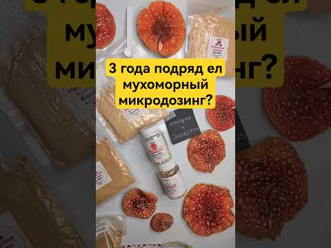 3 года подряд ел мухоморный микродозинг? #микродозинг #микродозингмухомора