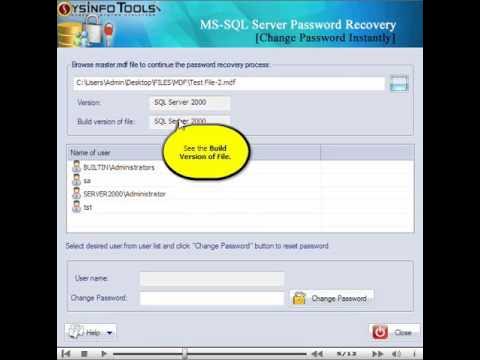 How to Recover MS SQL Server Password | SysInfoTools MS SQL Server ...