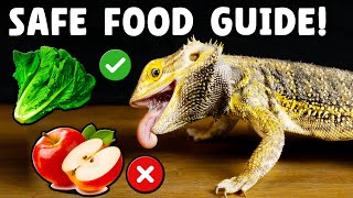 What Foods Are Safe for Bearded Dragons?