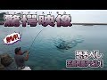 【エギング】これぞ五島列島サイズ!!デビルを釣り上げる!?かつてない驚愕映像!!!
