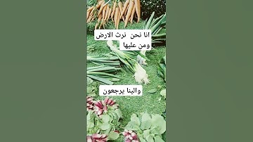 تلاوة جميلة # اللهم اجعل القرآن ربيع قلوبنا ونور صدورنا #