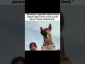 dank memes 8 #memes #fyp #funny #comedy #humor