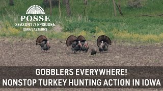 Gobblers Everywhere Nonstop Turkey Hunting Action In Iowa