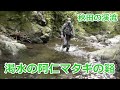 渇水の阿仁ﾏﾀｷﾞの谿 ~秋田の渓流~ / みちのく釣りの旅 ﾌﾗｲﾌｨｯｼﾝｸﾞ渓流釣り(4K) fly fishing