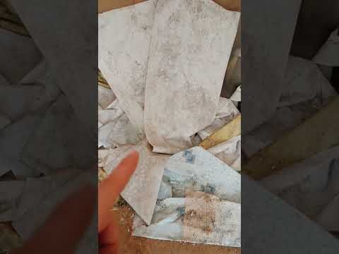 Вернулся в свою комнату в детском лагере, в котором отдыхал 12 лет назад! Ностальгия