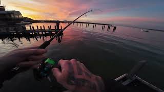Mornington Victoria, Port Phillip Bay Squid Fishing 2\/6\/25