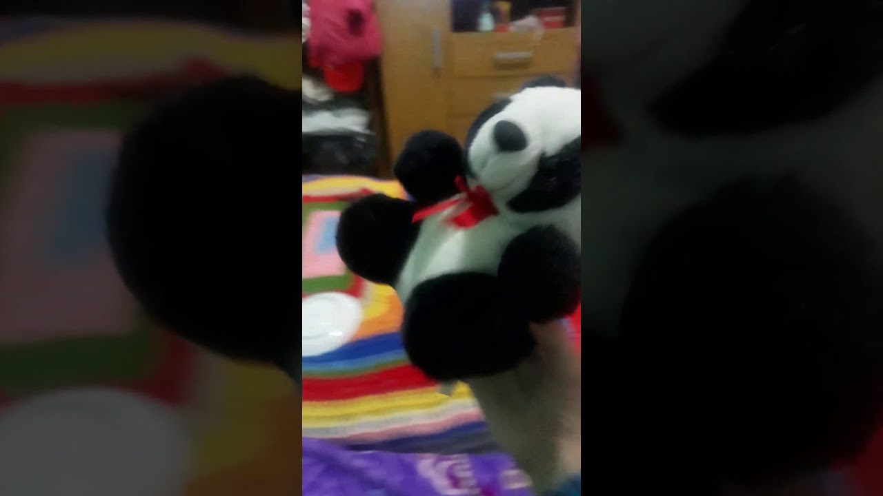 Las aventuras de panda 1☺ YouTube Las aventuras de panda 1☺ YouTube