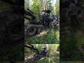 Обучение операторов харвестера. Logset 8H #лесозаготовка #форвардер #харвестер