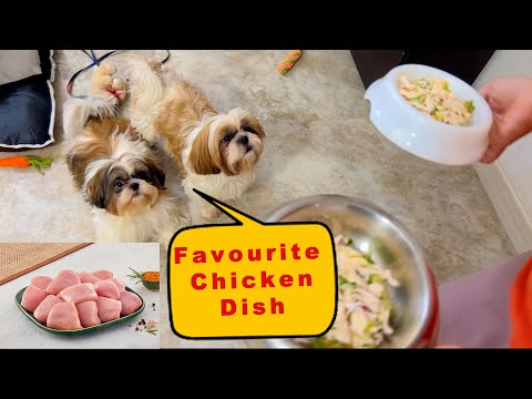 Homemade Healthy Dog Food Recipe | How To Make Homemade Food For Dogs