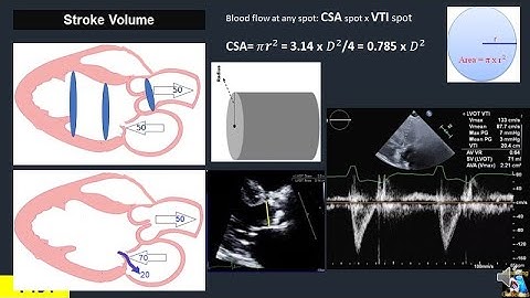 Physiology Of Heart Part 1: General Concepts