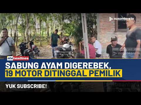 Judi Sabung Ayam Digerebek! Belasan Pemain Kabur Tinggalkan Motor | NTV HEADLINES