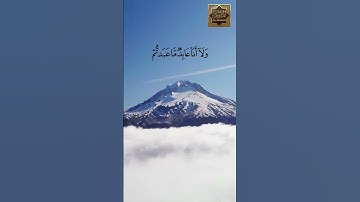 سورة الكافرون - القارئ هزاع البلوشى