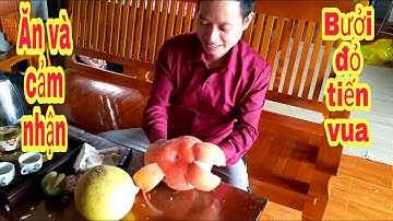 Ăn và cảm nhận bưởi đỏ tiến vua (bưởi đỏ Luận Văn) || bưởi đỏ Tân Lạc || bưởi Rỏn