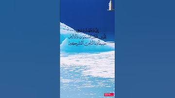 راحة وطمأنينة/تلاوة عطرة من القرآن الكريم